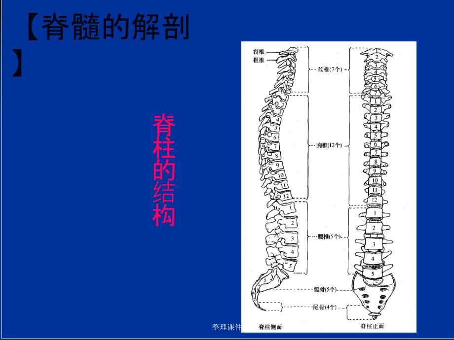 脊髓损伤的感觉评定_第3页