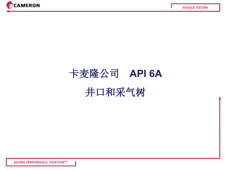 Cameron常规井口介绍优选内容_第1页