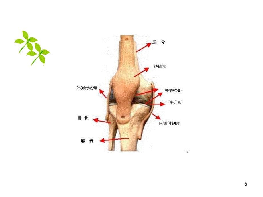 医学PPT课件半月板损伤护理查房_第5页