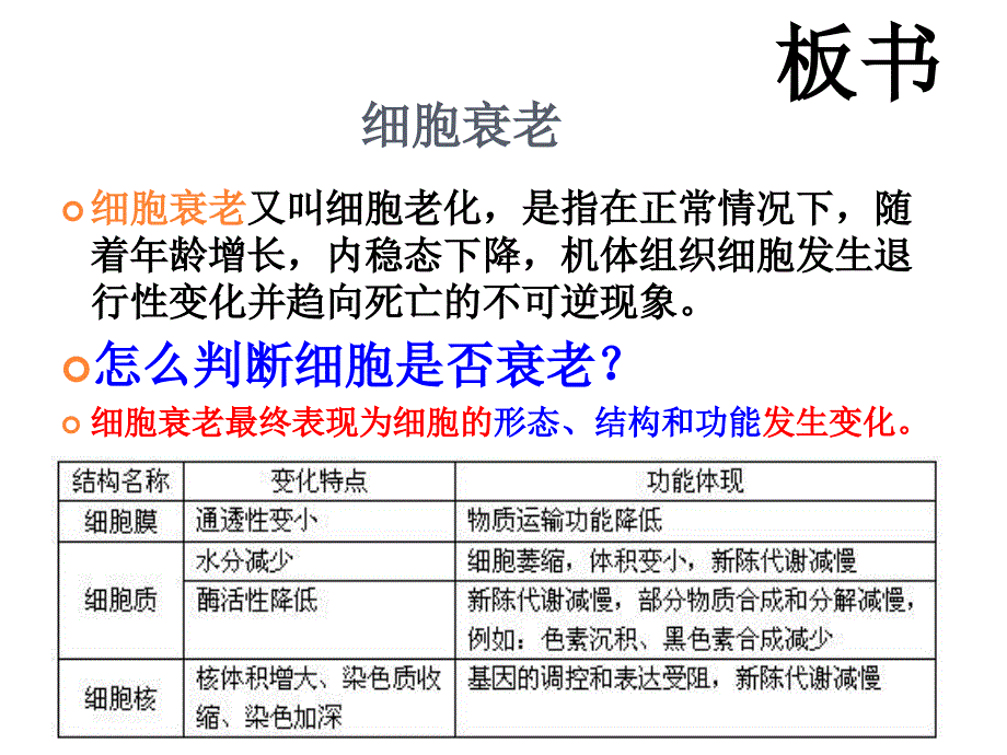 细胞的分化、衰老和凋亡_第2页