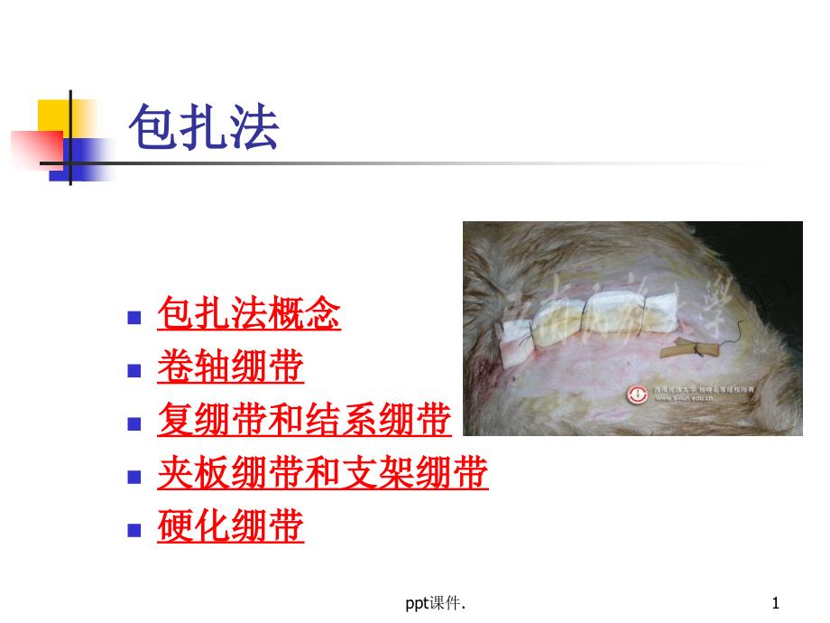 包扎法ppt课件_第1页