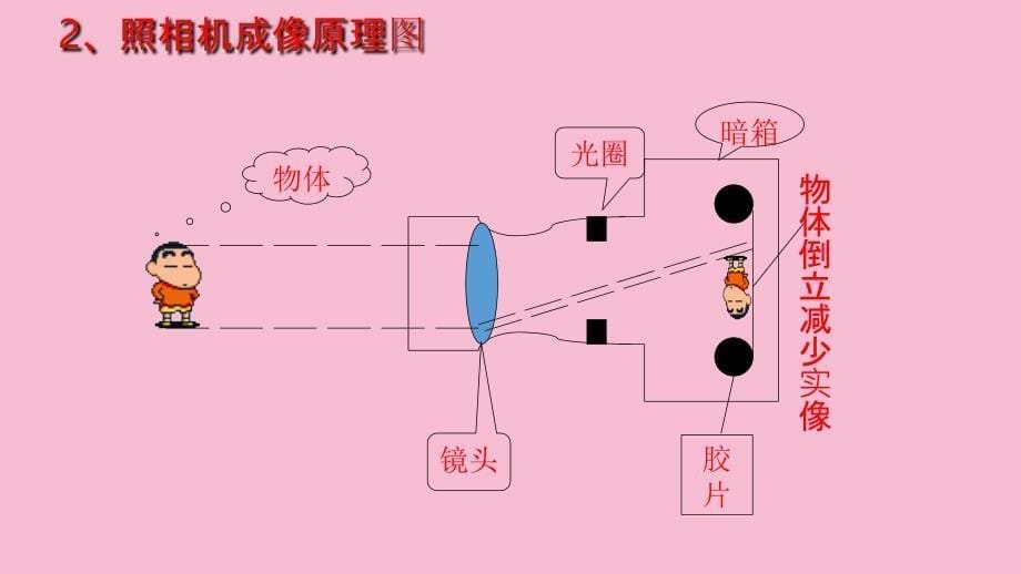 人教版八年级物理第五章透镜及其成像规律第2节生活中的透镜ppt课件_第5页