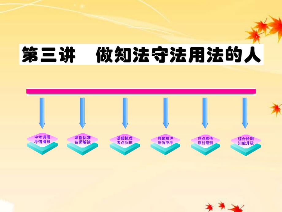 最新九年级政治第3讲做知法守法用法的人课件人教新课标版课件_第1页