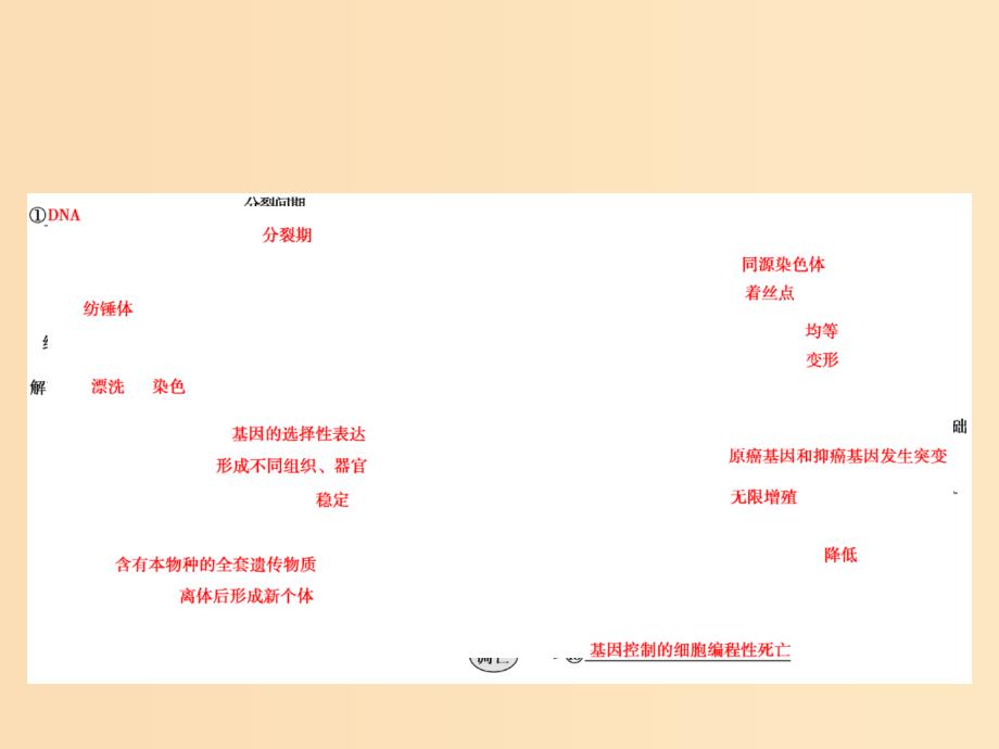 2018版高考生物二轮复习 第一部分 专题五 细胞的生命历程课件 新人教版.ppt_第2页