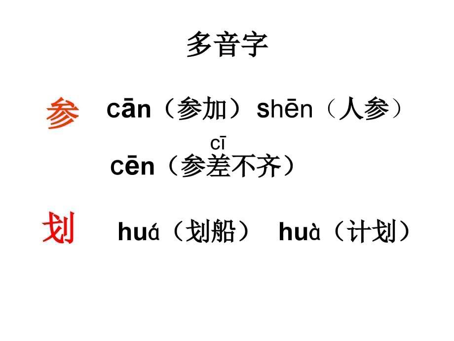 富饶的西沙群岛公开课_第5页