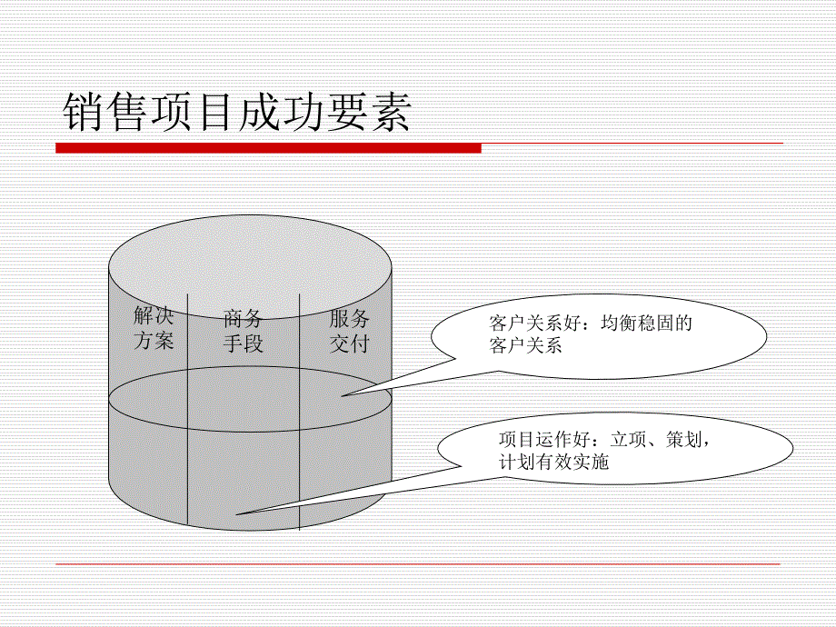 大型项目运作与管理_第3页