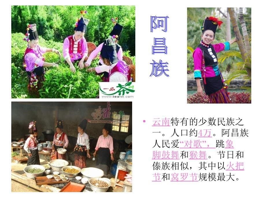 我们的民族小学__PPT课件_第5页