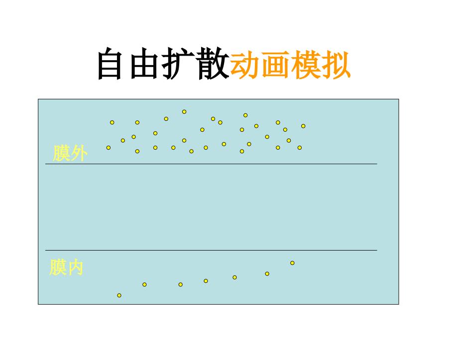 物质跨膜运输的方式_第3页