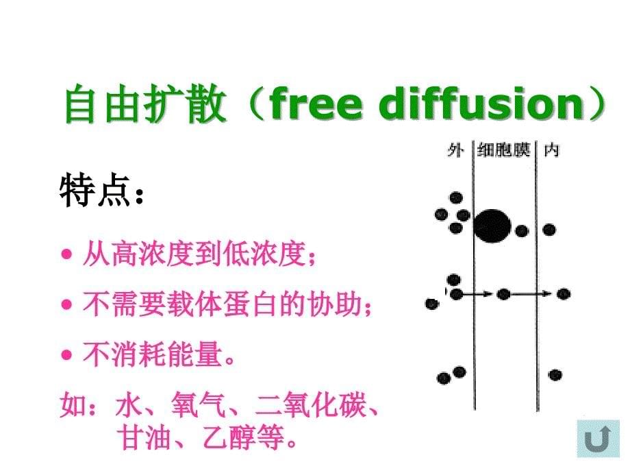 物质跨膜运输的方式_第5页