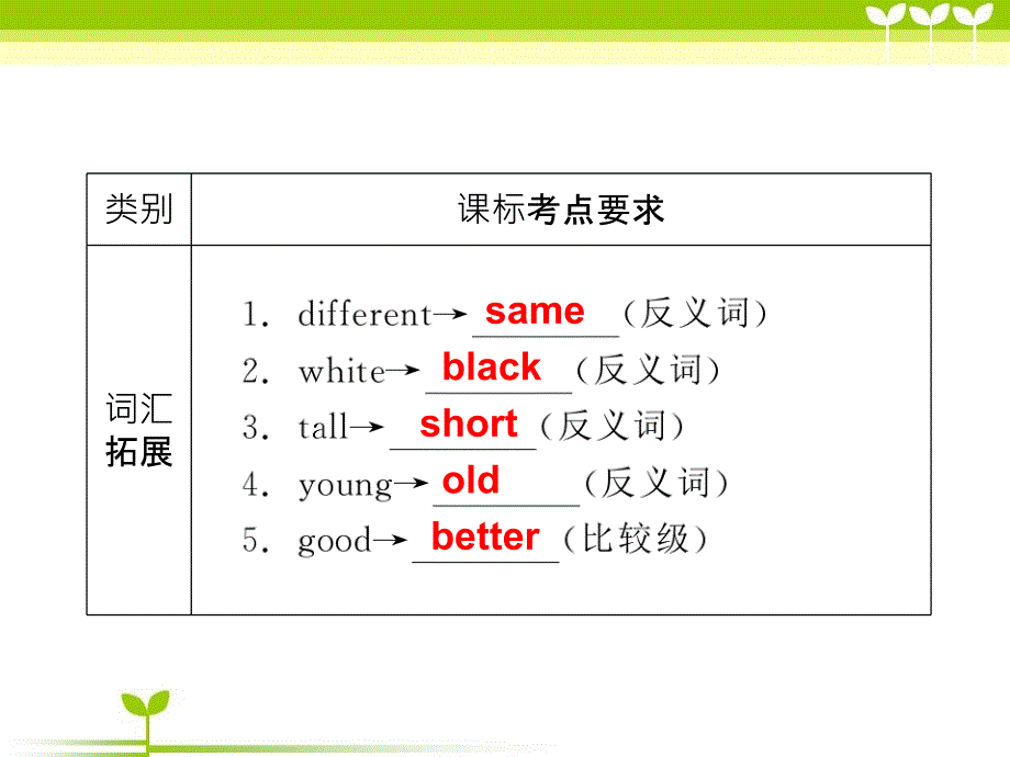 中考词形变化_第2页