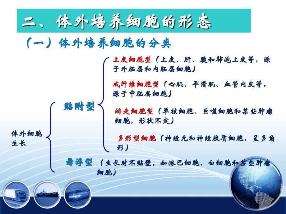 第十二章动物细胞培养技术_第5页