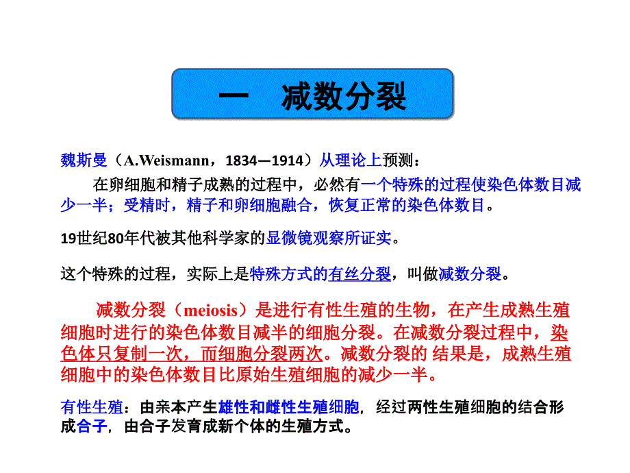 第一节一减数分裂_第4页