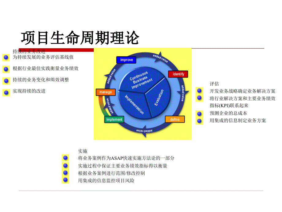 SAP项目实施方法_第2页