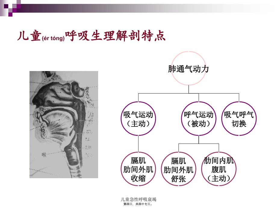 儿童急性呼吸衰竭课件_第4页