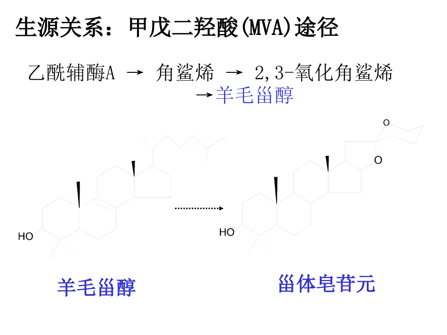 第八章甾体及其苷类_第4页