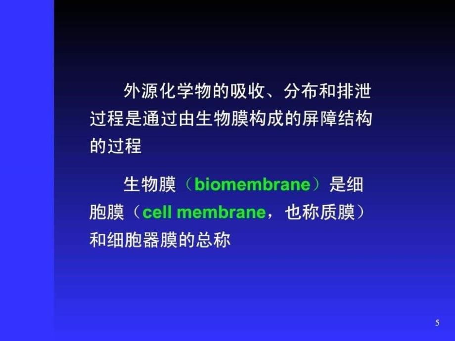 外源化学物体内的生物转运与转化_第5页