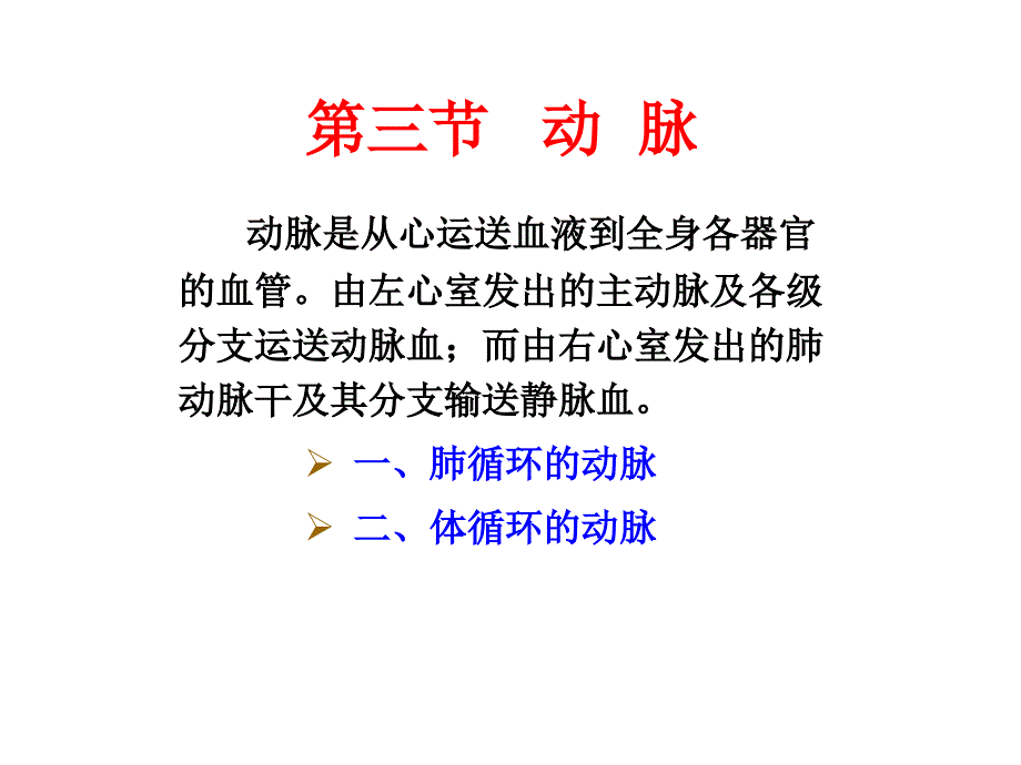 脉管2动脉定稿_第1页