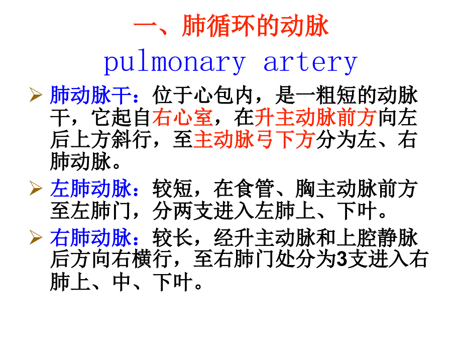 脉管2动脉定稿_第2页