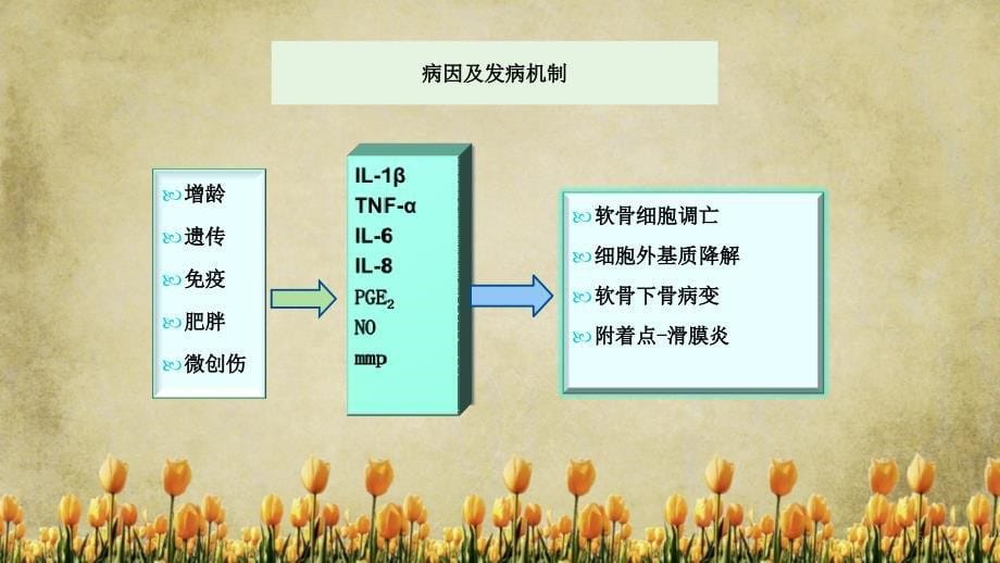 骨关节炎干货分享_第5页