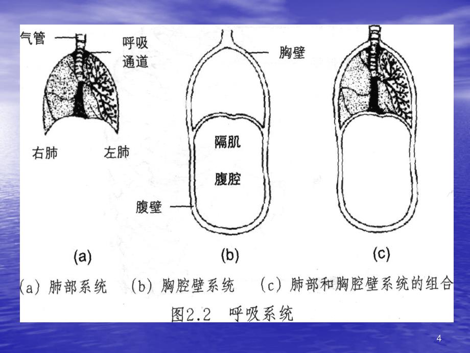 科学发声与嗓音保护课件_第4页