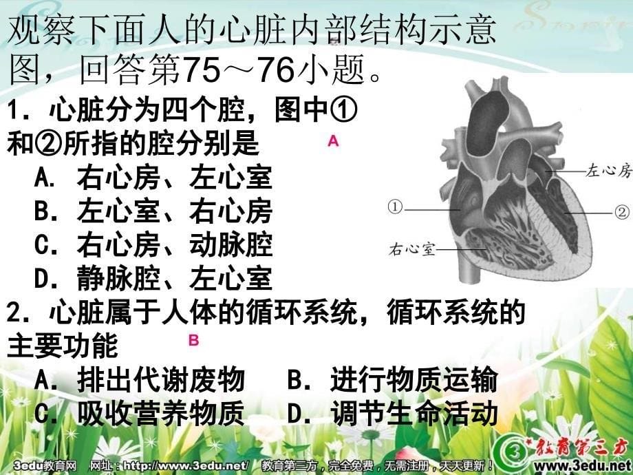 八年级生物心脏与血液循环_第5页