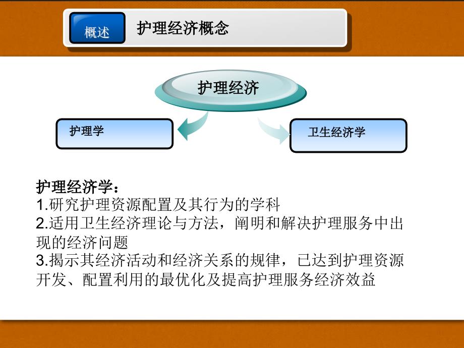 护理经济管理_第3页