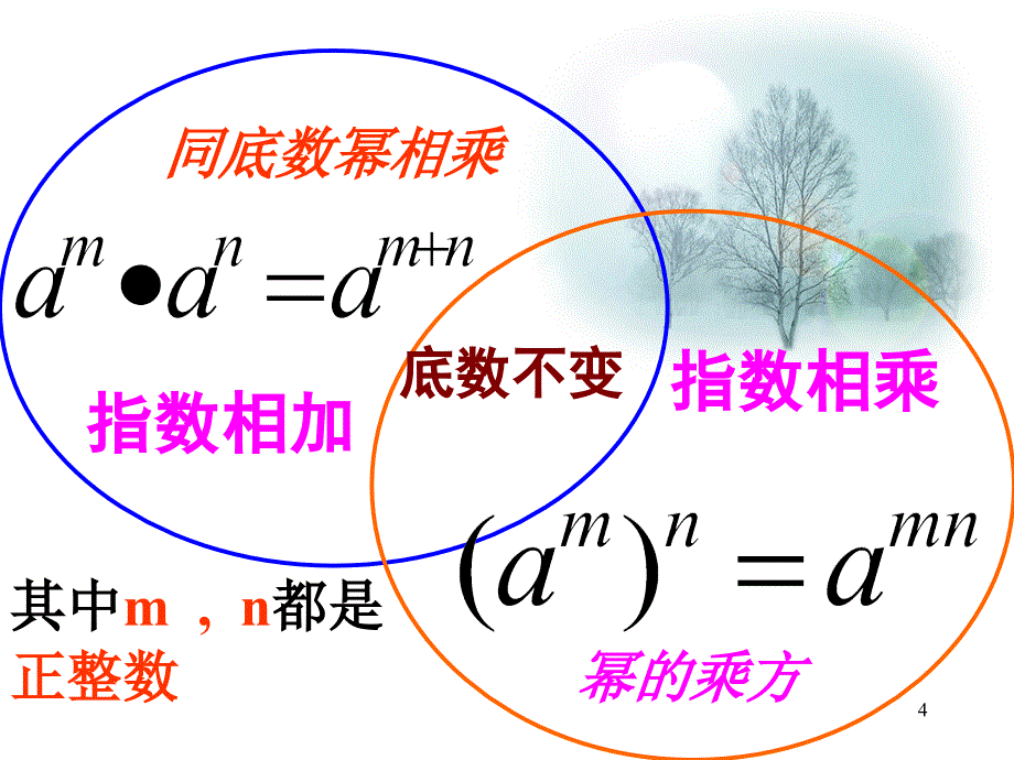 整式的乘法与因式分解复习_第4页