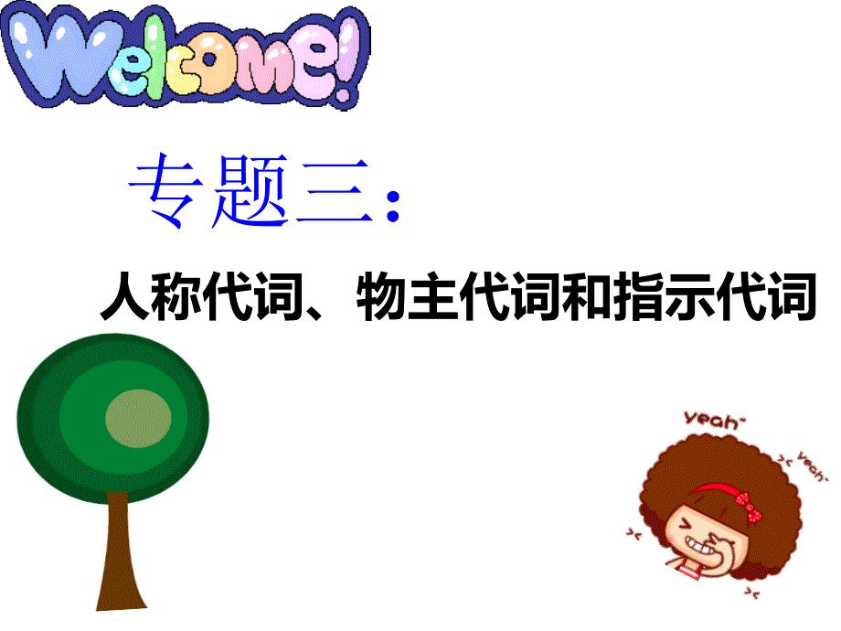 小学英语代词语法复习及练习.ppt