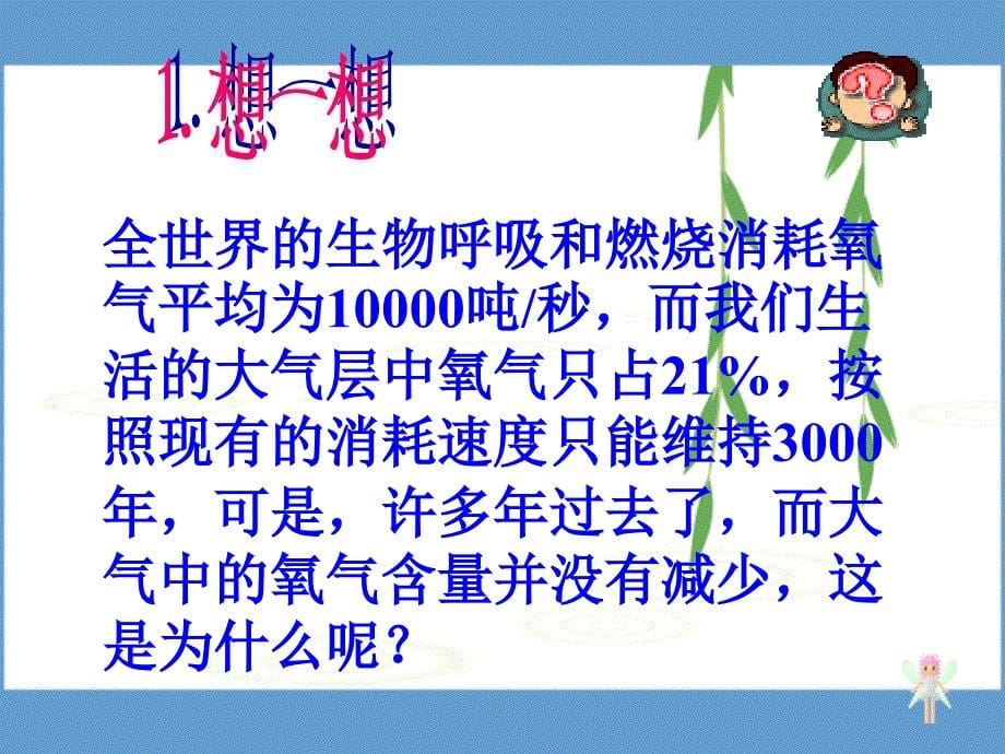 绿色植物与生物圈中的碳氧平衡_第5页