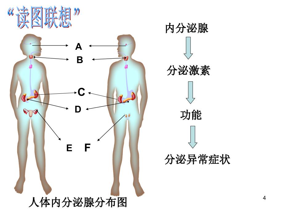 八上科学第三章复习_第4页