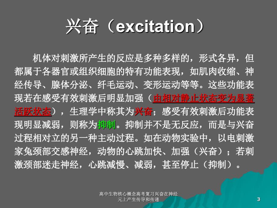 高中生物核心概念高考复习兴奋在神经元上产生传导和传递课件_第3页