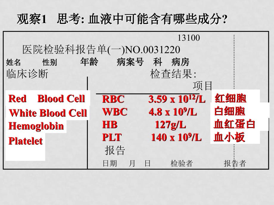 七年级生物下册第四单元第四章第一节流动的组织——血液课件人教版_第3页