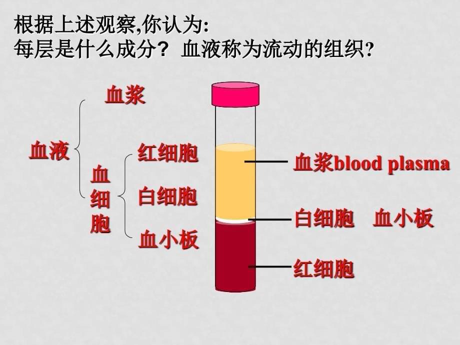 七年级生物下册第四单元第四章第一节流动的组织——血液课件人教版_第5页