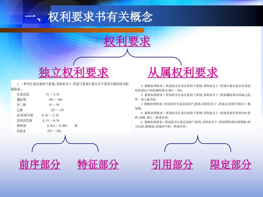 专利权利要求书具体写法要求PPT课件_第4页