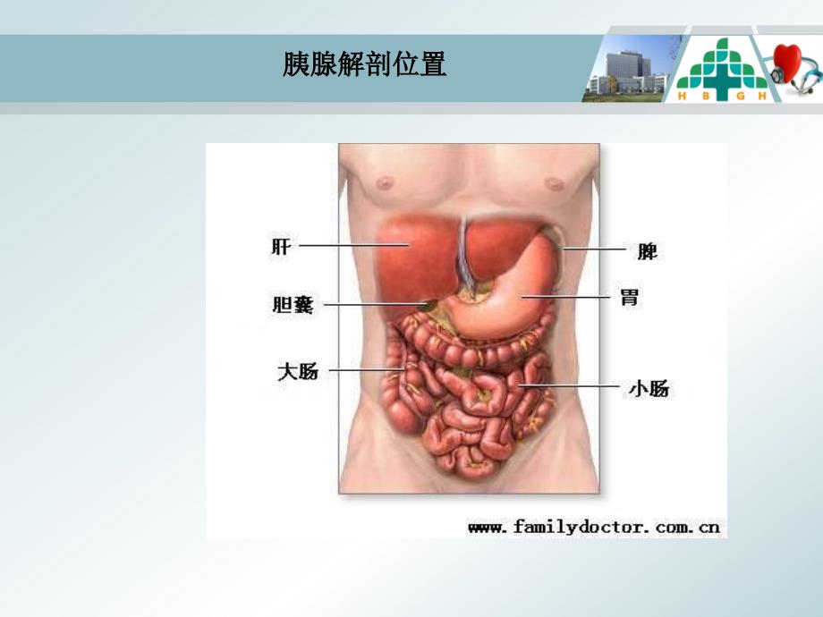 急性胰腺炎的护理查房_第4页