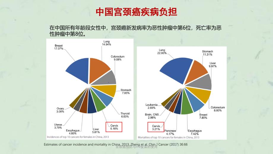 宫颈癌预防与HV疫苗的使用课件_第4页