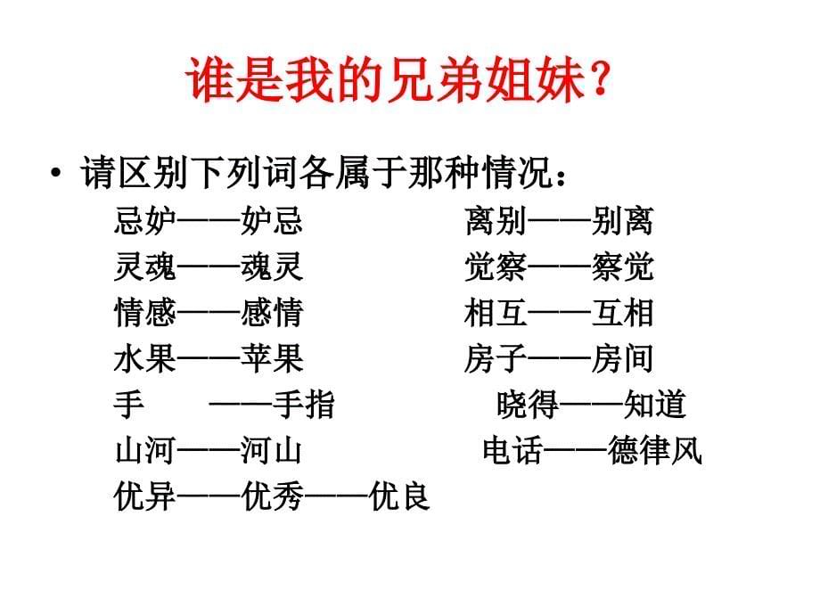 《词语的兄弟姐妹同义词》_第5页