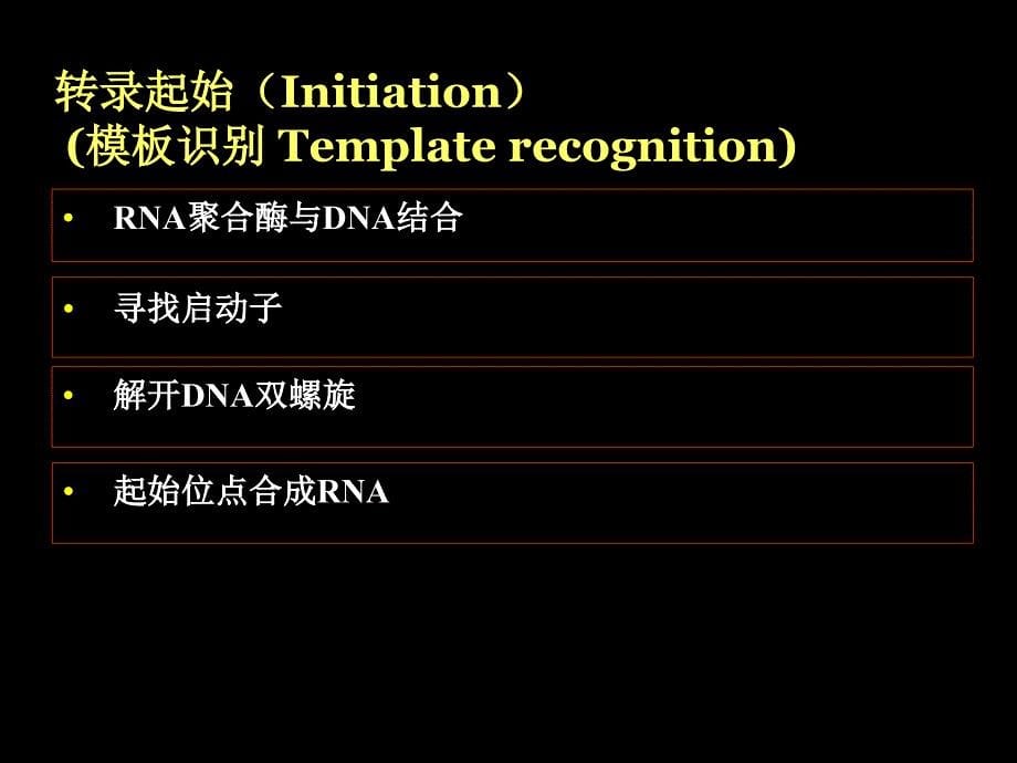 分子生物学第五讲_第5页