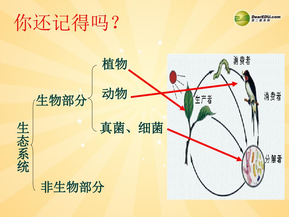 生物上册动物在生物圈中作用新人教版课件_第3页