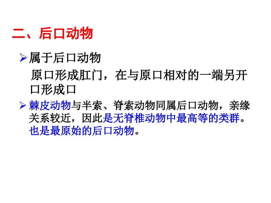 普通动物学第12章棘皮动物门_第4页