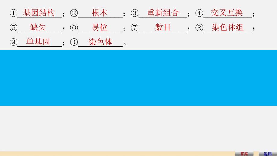 高中生物 第5章 基因突变及其他变异章末整合提升课件 新人教版必修2_第4页