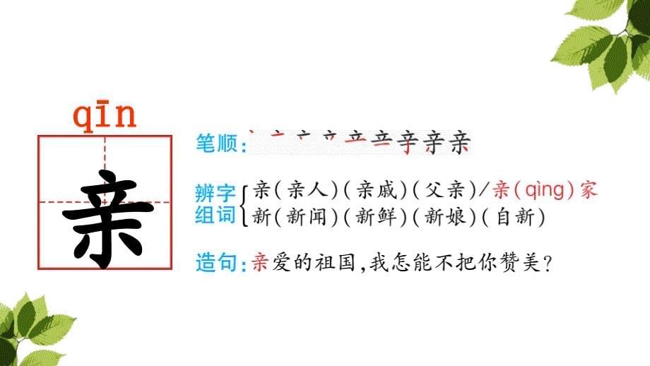 人教版部编版三年级上册语文15搭船的鸟_第5页