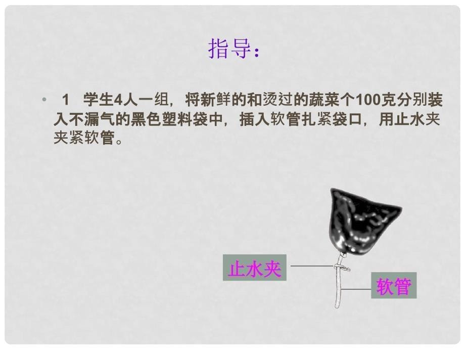 七年级生物上册《植物的呼吸作用》课件 苏教版_第5页