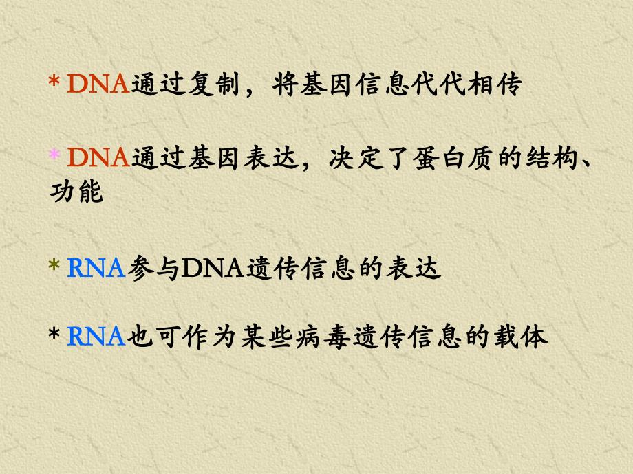 《基因信息的传递》PPT课件_第3页