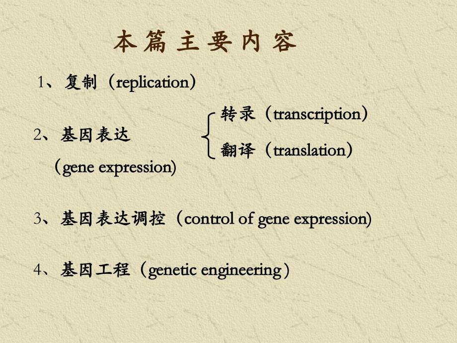 《基因信息的传递》PPT课件_第4页