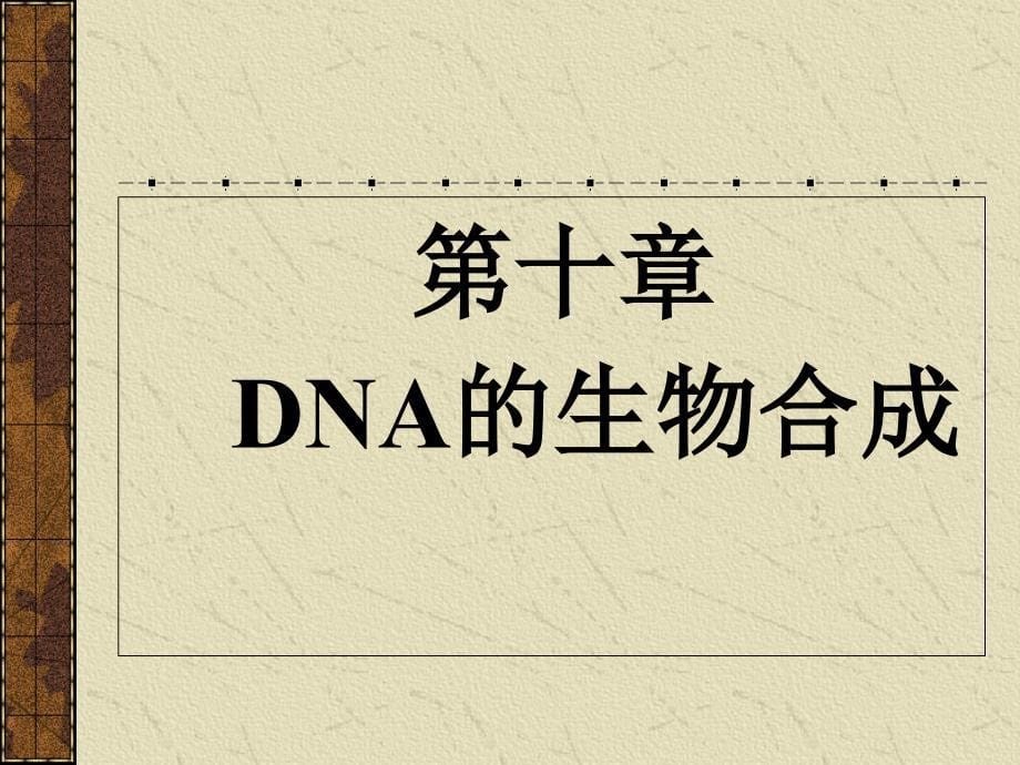 《基因信息的传递》PPT课件_第5页