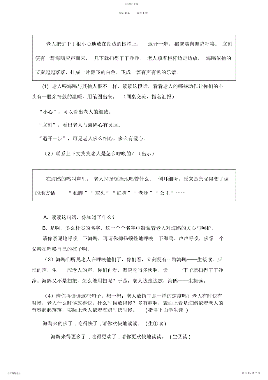 2022年老人与海鸥公开课教案_第3页