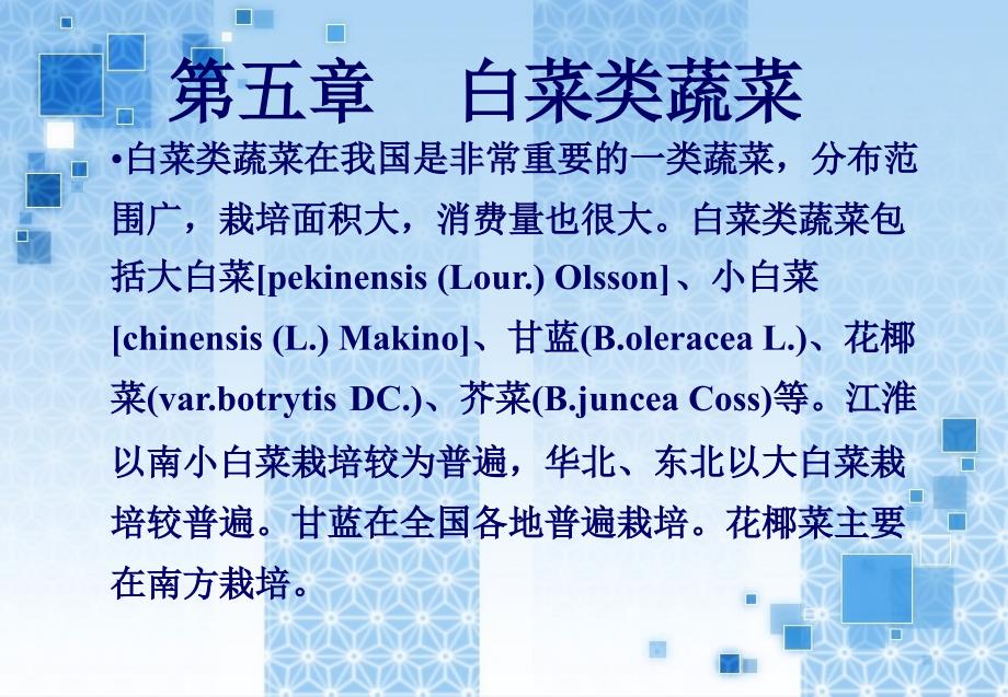 《白菜类蔬菜栽培》PPT课件.ppt_第1页
