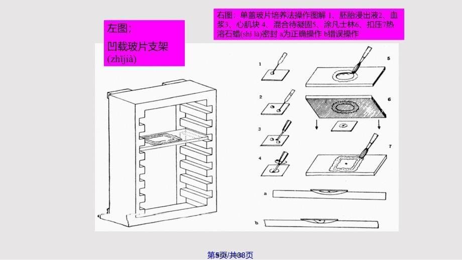 CELL基本培养方法实用教案_第5页