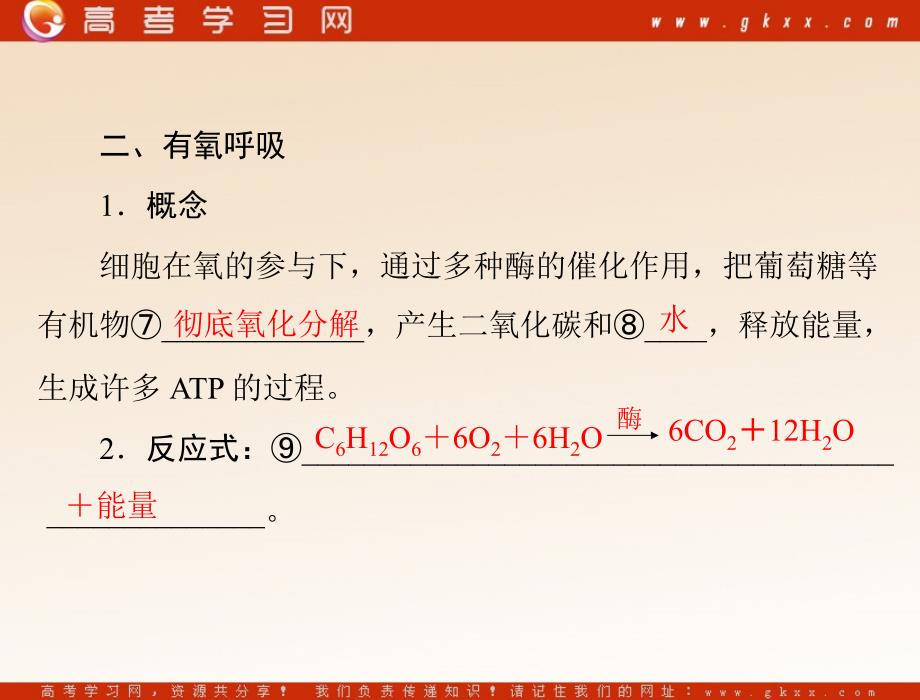 高考生物一轮复习课件：必修1 第5章 第3节 atp的主要来源——细胞呼吸_第4页